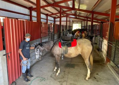 Horse trainer in Vera barn