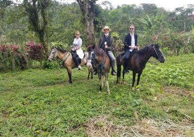 Horseback riding at Vera Eco-Resort